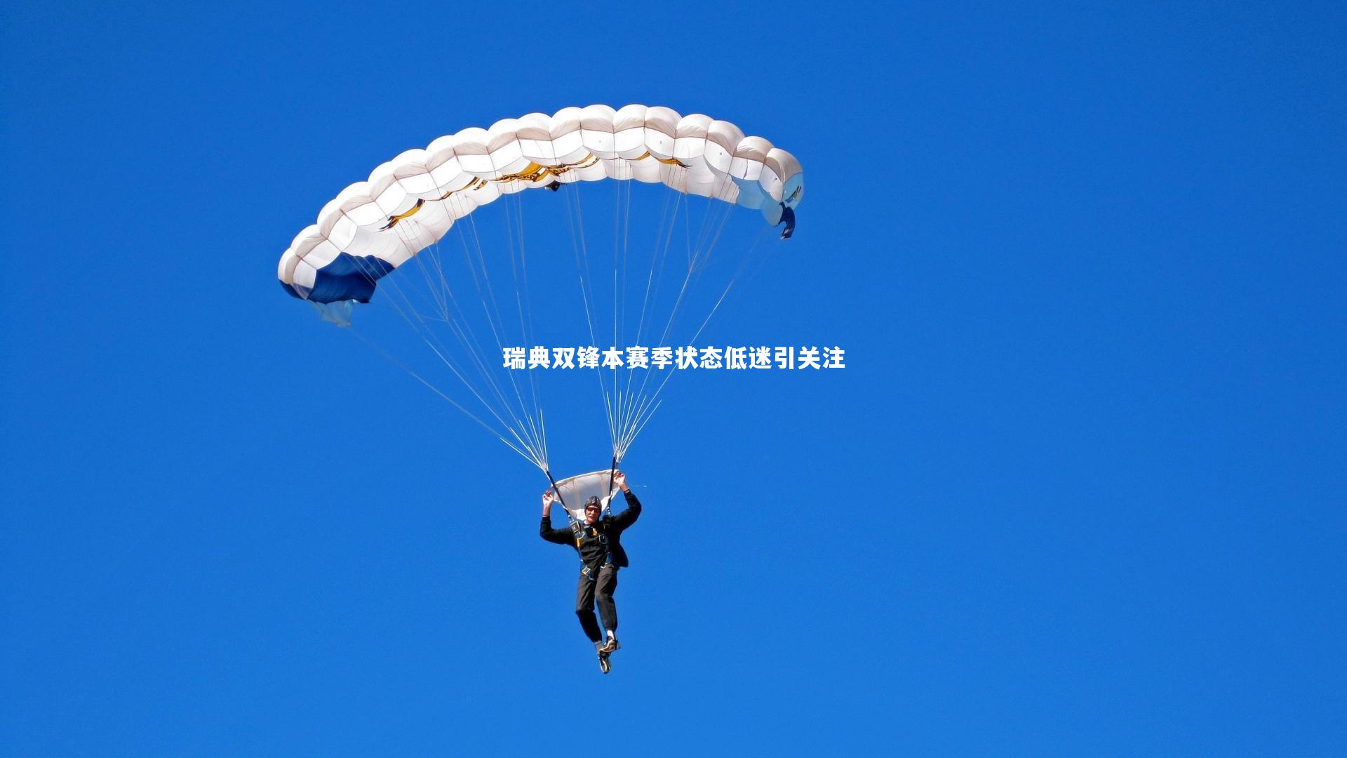 瑞典双锋本赛季状态低迷引关注